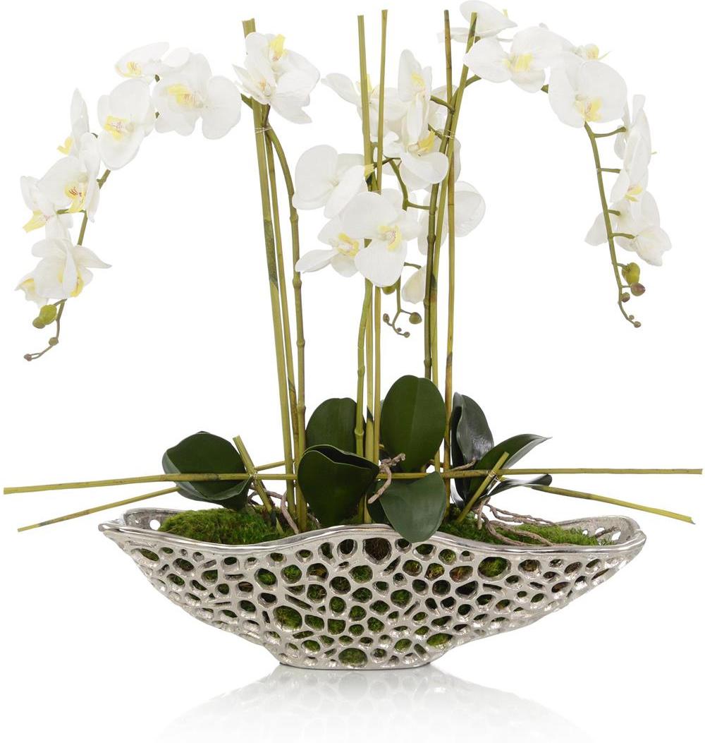 John Richard Decor Orchid Display
