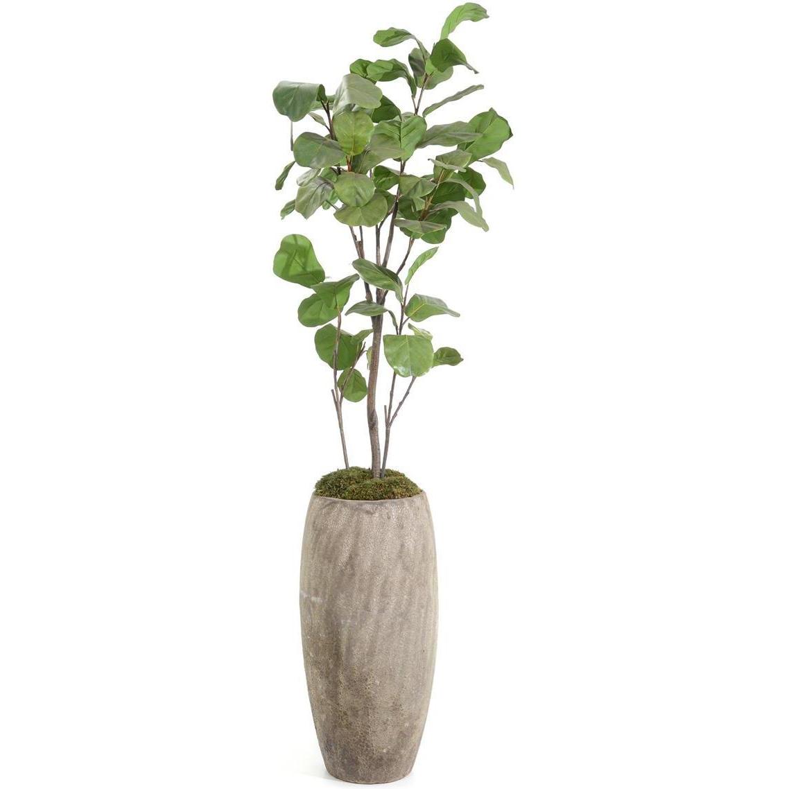 John Richard Decor Slender Fiddle Leaf Fig