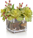 John Richard Decor Succulents & Hypericum