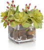 John Richard Decor Succulents & Hypericum