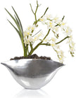 John Richard Decor Silver Dendrobiums