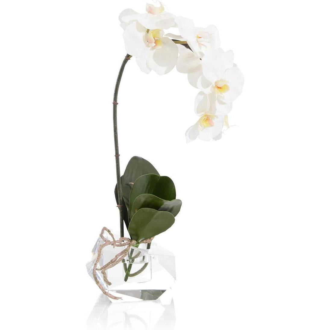 John Richard Decor Real Touch Orchid