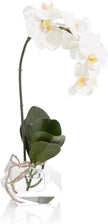 John Richard Decor Real Touch Orchid