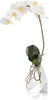 John Richard Decor Rock Crystal Real Touch Orchid
