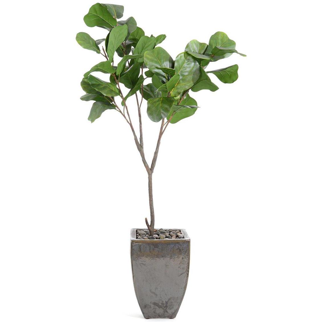 John Richard Decor Rocky Fig Tree