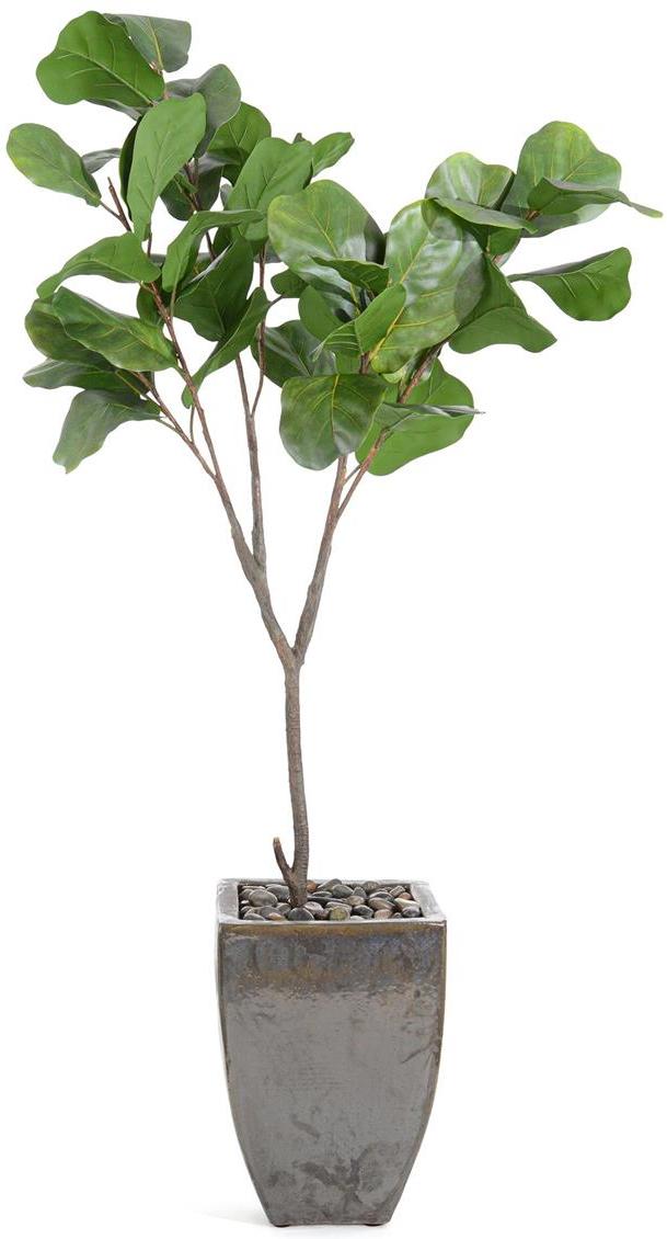 John Richard Decor Rocky Fig Tree