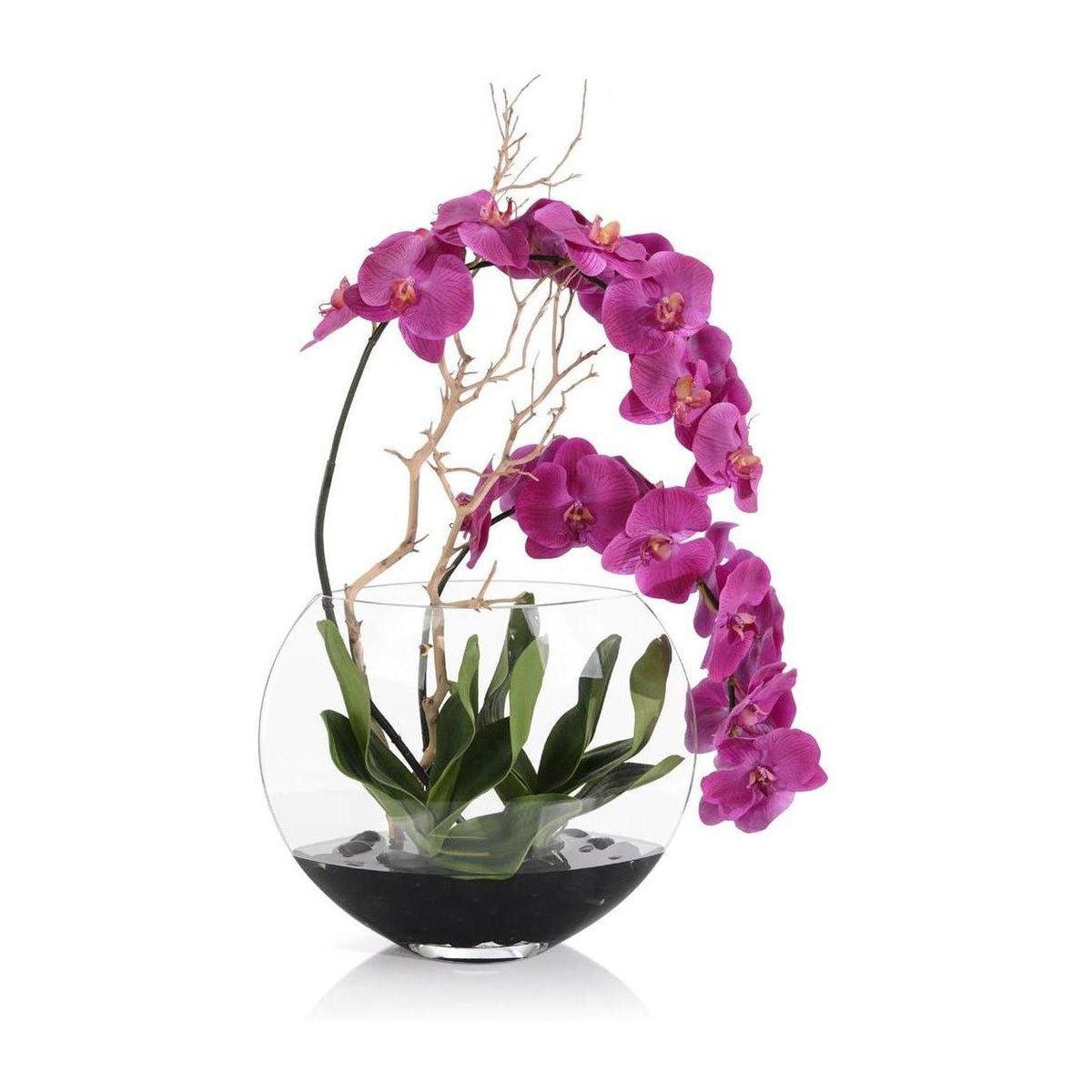 John Richard Decor Asian Beauty
