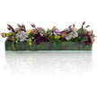 John Richard Decor Organic Garden