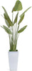 John Richard Decor Tropical Birds