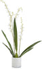 John Richard Decor Cattleya Orchid