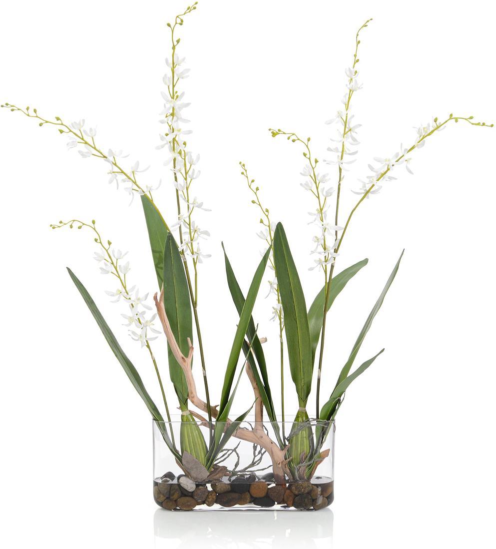 John Richard Decor White Pearls