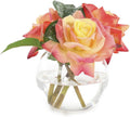 John Richard Decor Real Feel Beauties