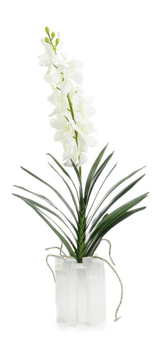 John Richard Decor Dendrobium 'N' Selenite