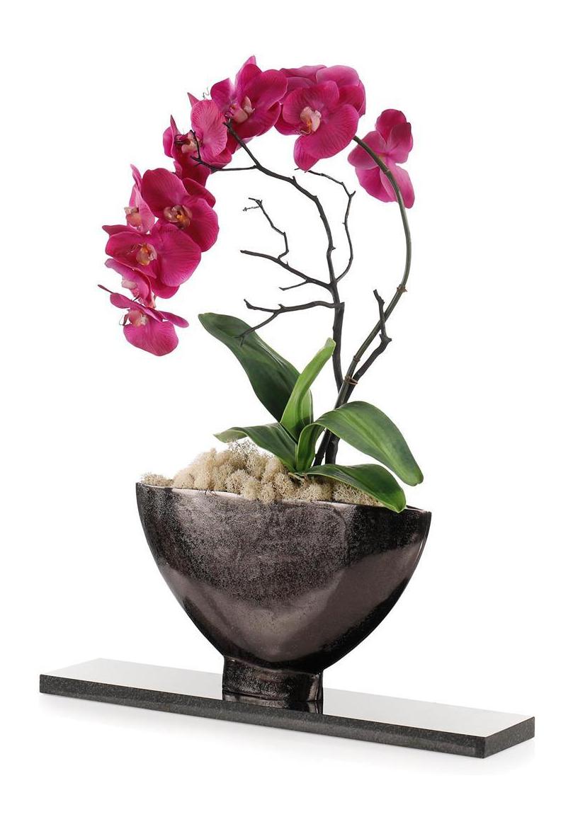 John Richard Decor Midnight Phalaenopsis