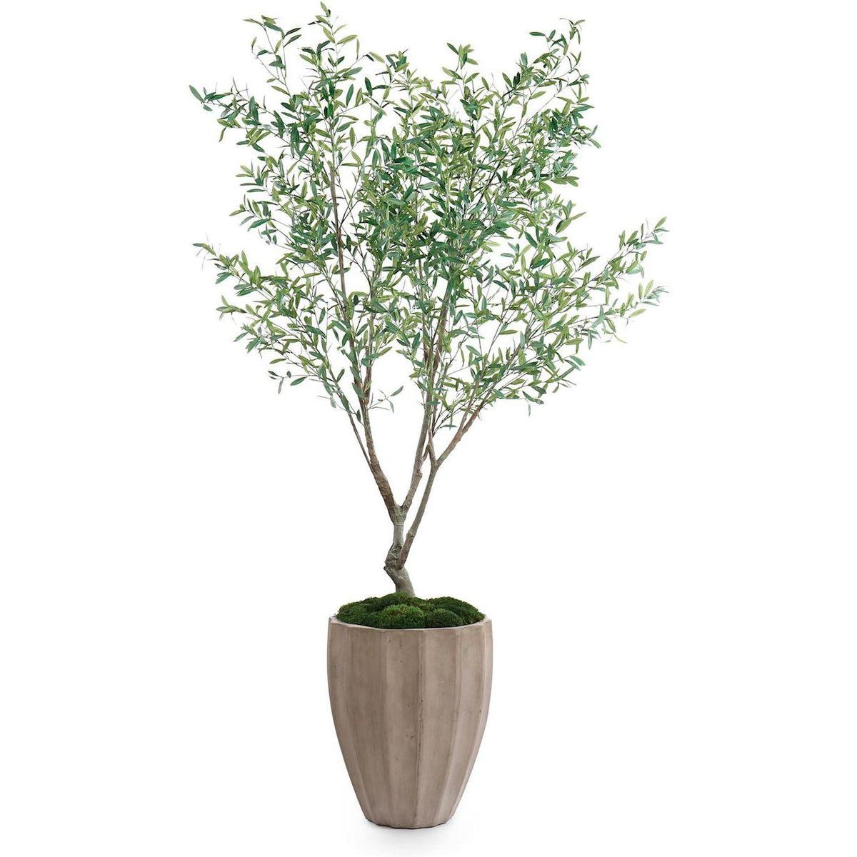 John Richard Decor Tuscan Olive
