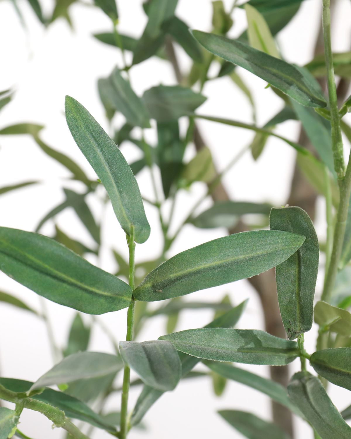 John Richard Decor Tuscan Olive