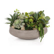 John Richard Decor Amsterdam Succulents