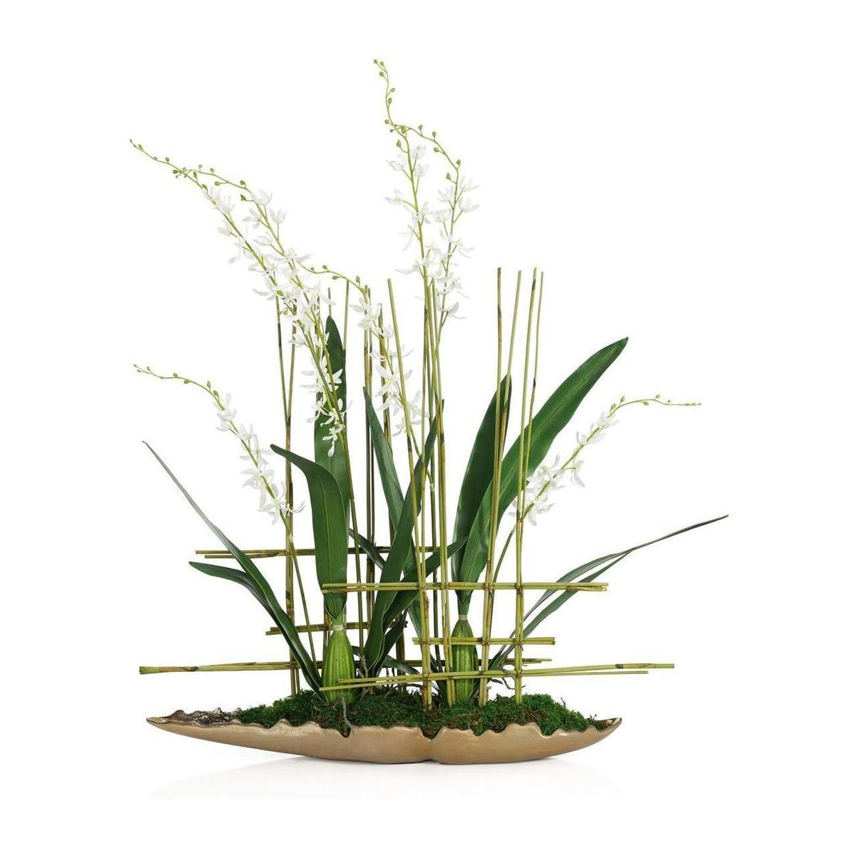 John Richard Decor Asian Cymbidiums
