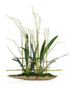 John Richard Decor Asian Cymbidiums