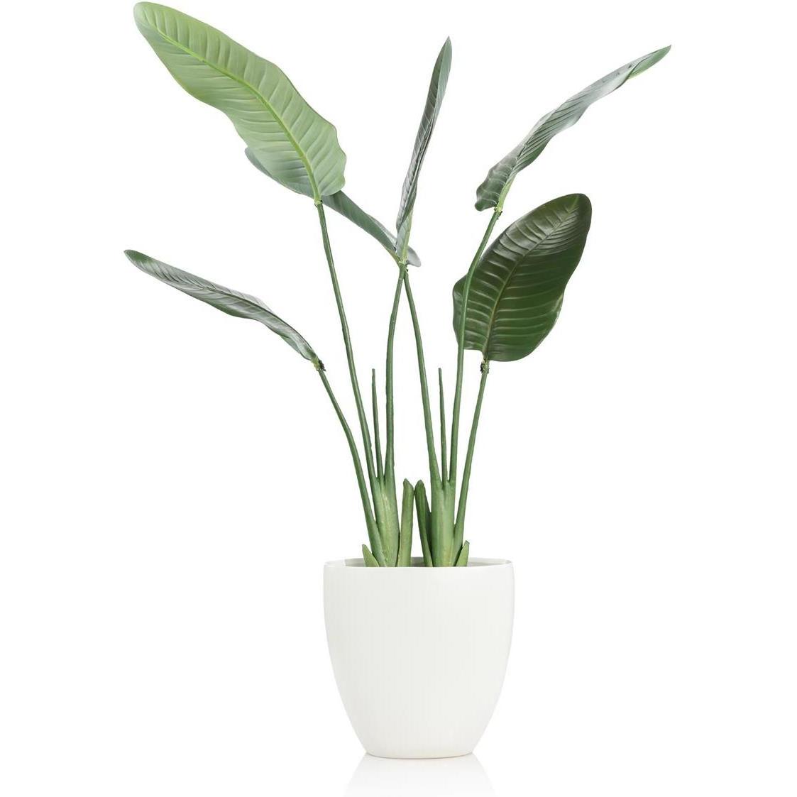 John Richard Decor Tropical Bird of Paradise