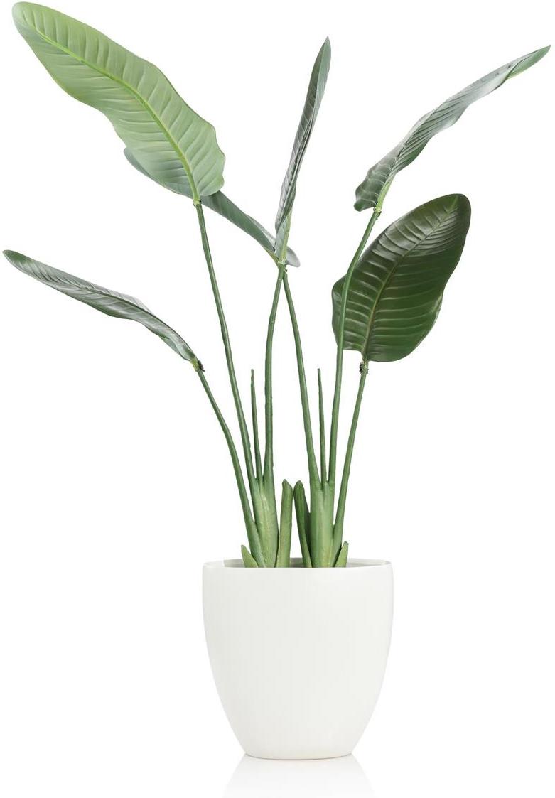 John Richard Decor Tropical Bird of Paradise