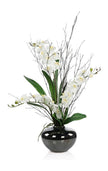 John Richard Decor Black Bamboo & Orchids