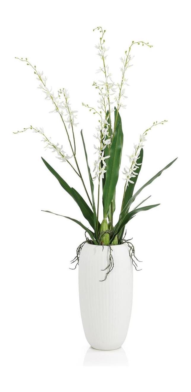 John Richard Decor Elegant White