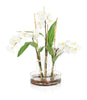 John Richard Decor Changing Florals 3