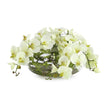 John Richard Decor Enchanted Orchids