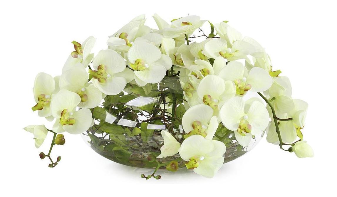 John Richard Decor Enchanted Orchids