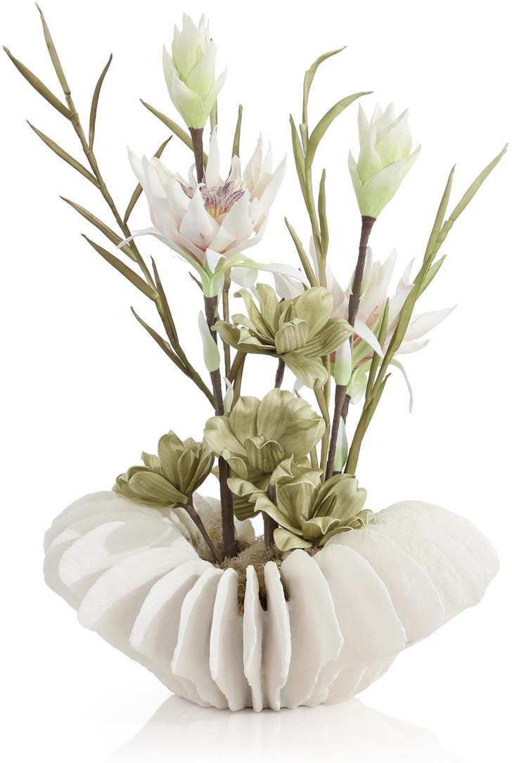 John Richard Decor Seaside Pastels
