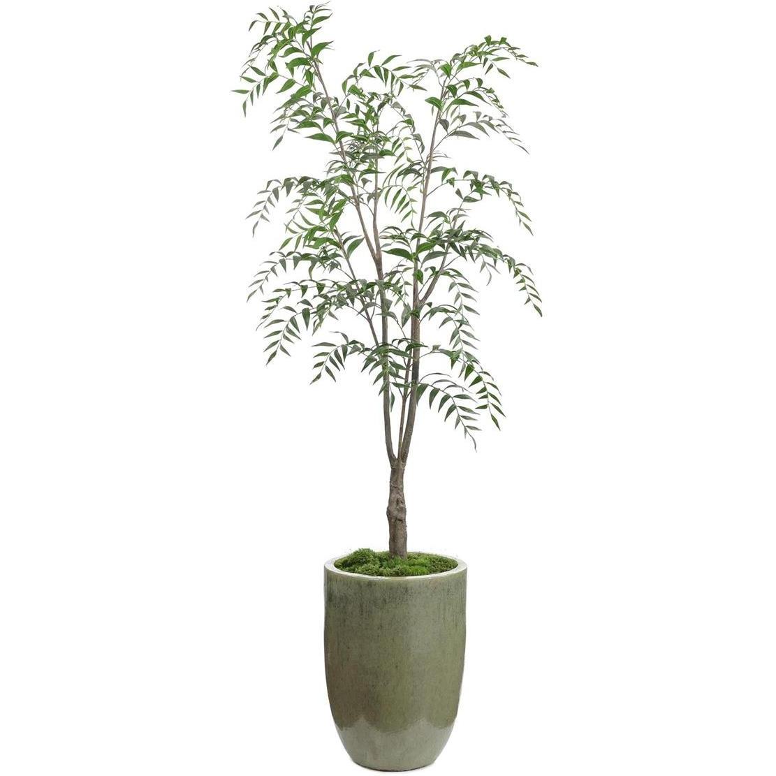 John Richard Decor Southern Willow