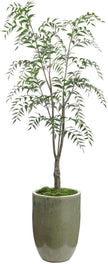 John Richard Decor Southern Willow