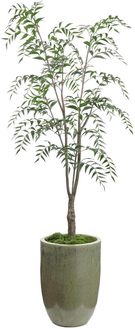 John Richard Decor Southern Willow