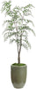 John Richard Decor Southern Willow