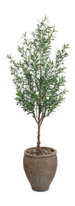 John Richard Decor Italian Olive