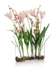 John Richard Decor First Blooms