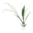 John Richard Decor Graceful Cymbidium