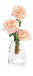 John Richard Decor French Garden Rose