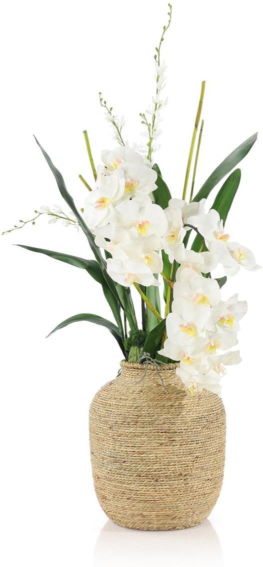 John Richard Decor Tahitian Orchids