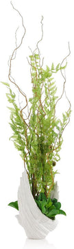 John Richard Decor Winged Fern Garden