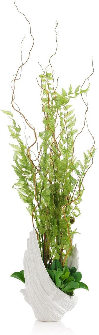 John Richard Decor Winged Fern Garden