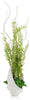 John Richard Decor Winged Fern Garden
