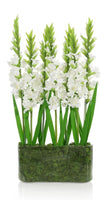 John Richard Decor Gladiola Garden