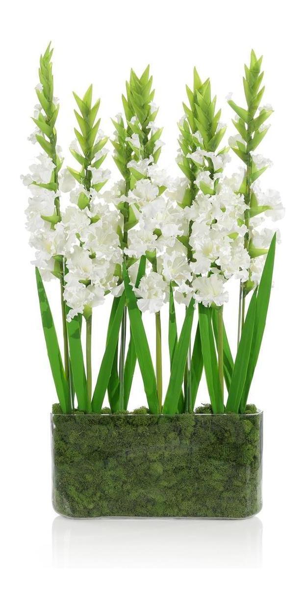 John Richard Decor Gladiola Garden