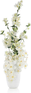 John Richard Decor Snowy Bougainvillea and Orchids