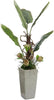 John Richard Decor Tropical Vibes