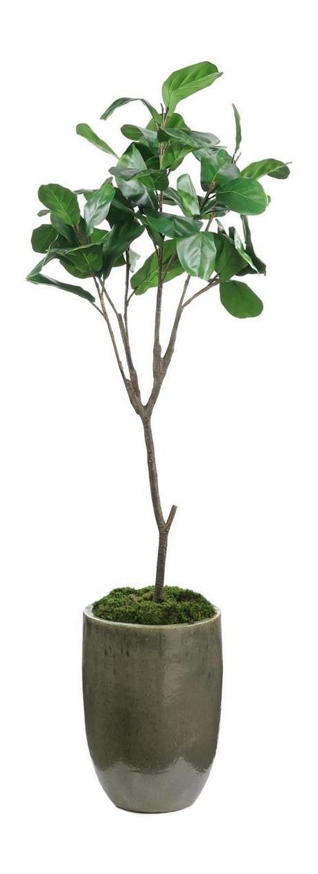 John Richard Decor Mossy Green Fiddle Leaf Fig