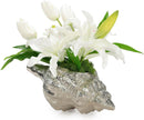 John Richard Decor Ocean Spray