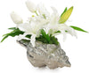 John Richard Decor Ocean Spray